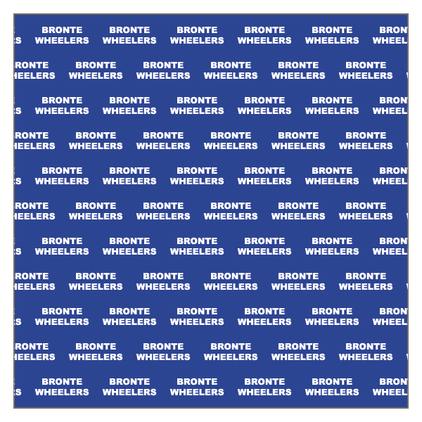 Bronte Wheelers CC Snood