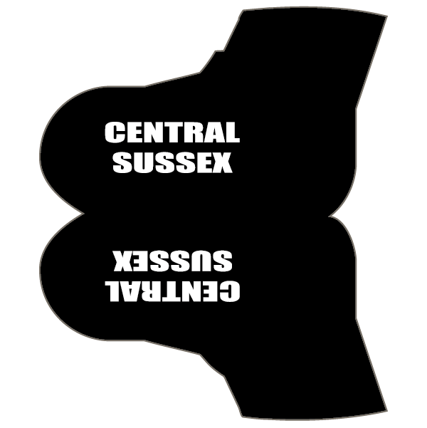 Central Sussex CC Overshoes