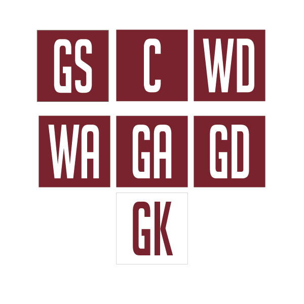 Belgrave Netball Club - Position Patches (Set of 14) 
