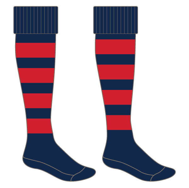 Barnsley Ladies RUFC Match Socks
