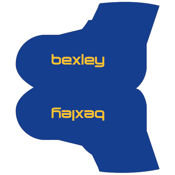 CC Bexley Overshoes