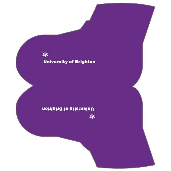 University of Brighton Overshoes 