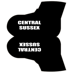Central Sussex CC Overshoes