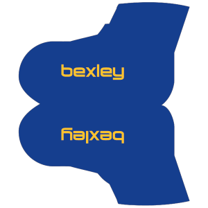 CC Bexley Overshoes