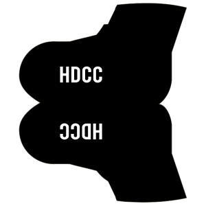 Harworth and District CC Overshoes
